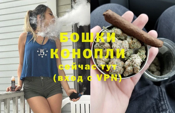 шишки Пестово