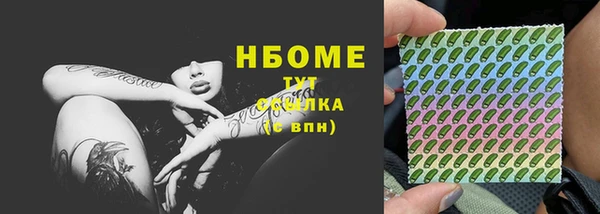шишки Пестово