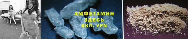 шишки Пестово