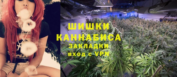 шишки Пестово