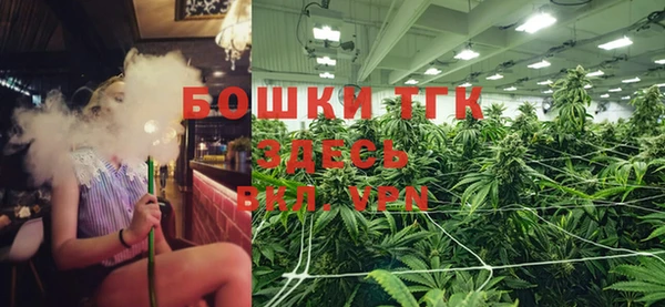 шишки Пестово