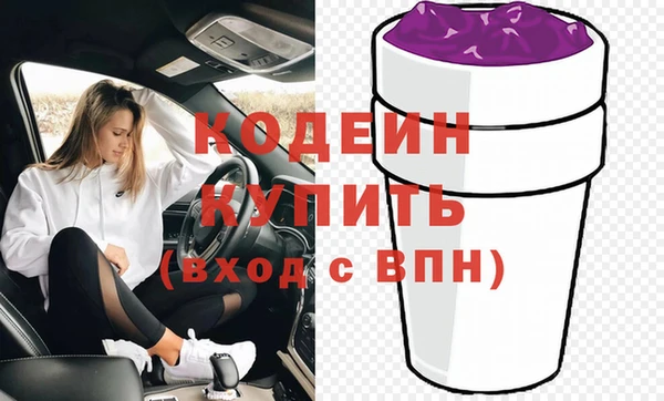 шишки Пестово