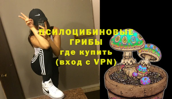 шишки Пестово