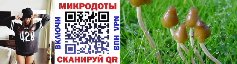 Галлюциногенные грибы Psilocybe  ОМГ ОМГ tor  Сафоново  хочу наркоту 
