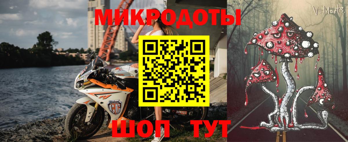 Псилоцибиновые грибы Psilocybe  Сафоново 