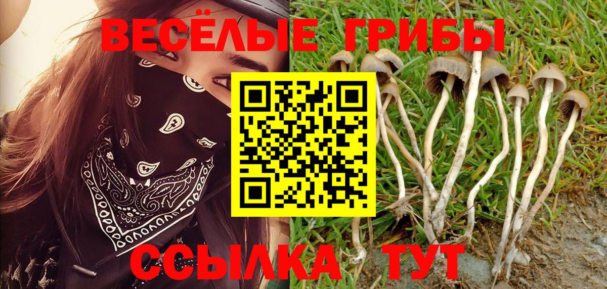 Сафоново  Псилоцибиновые грибы Psilocybine cubensis  где купить наркотик  Вход с VPN 