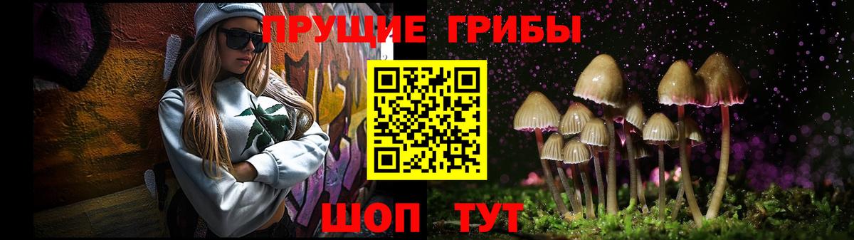 Псилоцибиновые грибы Psilocybe Сафоново